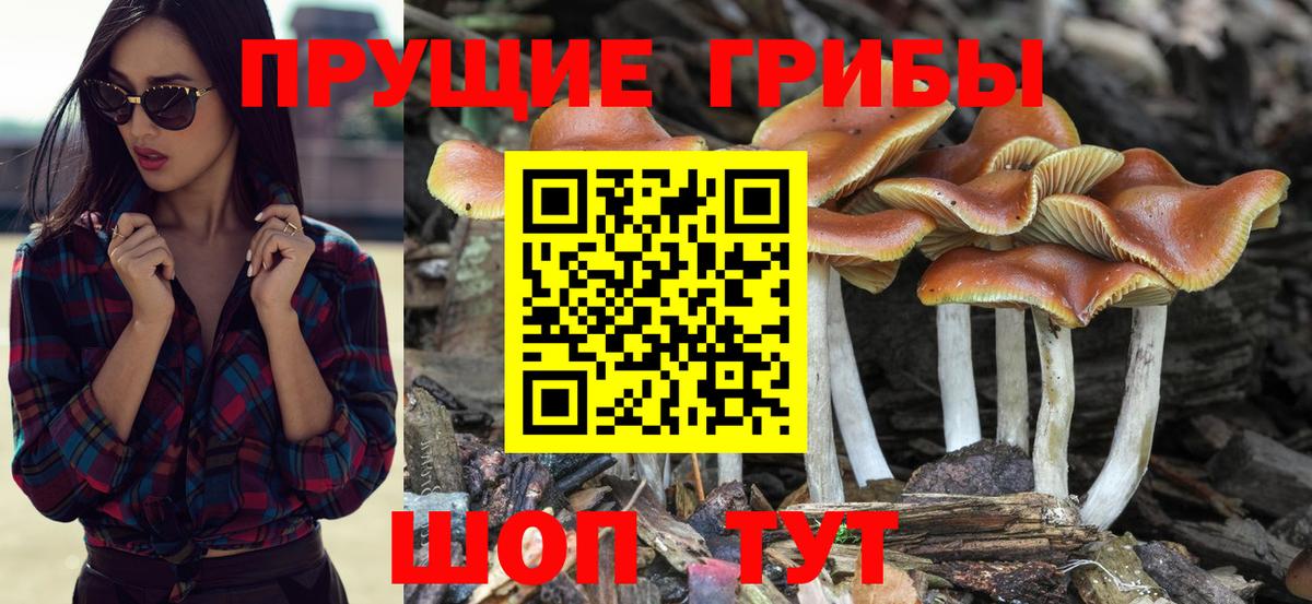 Ефремов  Галлюциногенные грибы GOLDEN TEACHER  купить  цена  Галлюциногенные грибы Psilocybe  Вход с VPN 